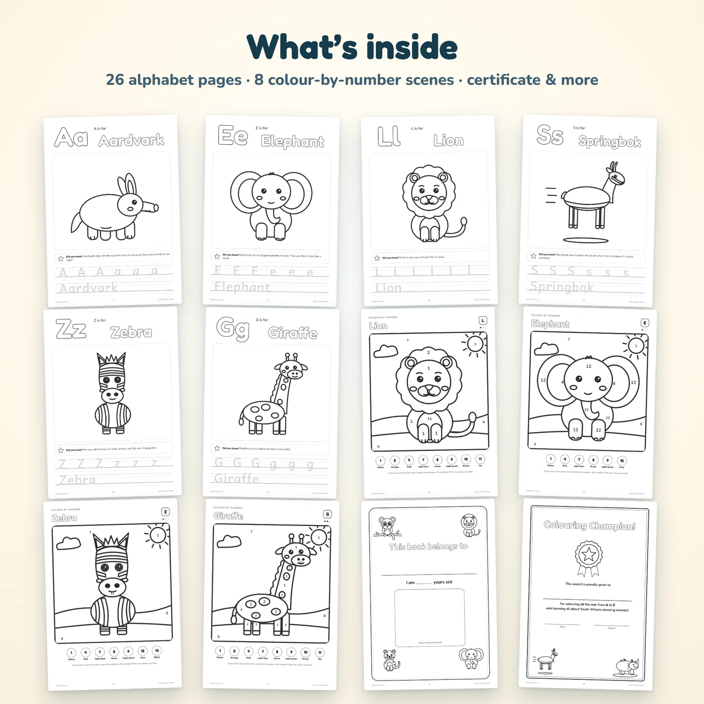 Pages inside the printable colouring book